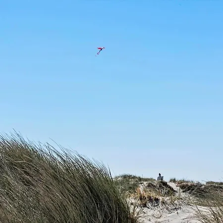 Feriehus 504-hvide-sande-riskrogvej-52 *