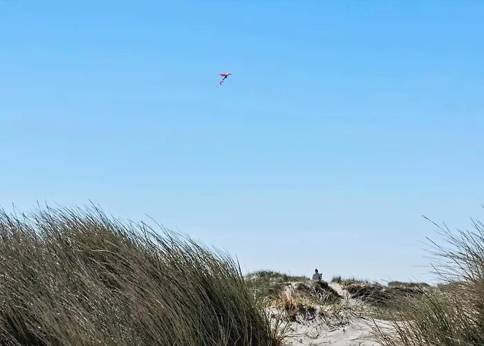 Σπίτι διακοπών 504-hvide-sande-riskrogvej-52 *